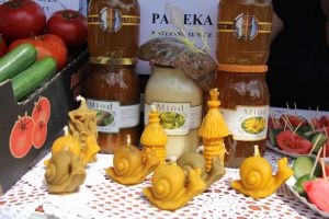 Miniatura zdjęcia: zdjęcie