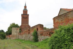 Miniatura zdjęcia: Fotka 19