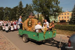 Miniatura zdjęcia:  51