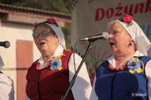 Miniatura zdjęcia:  121