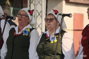 Miniatura zdjęcia:  122
