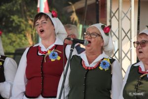 Miniatura zdjęcia:  123