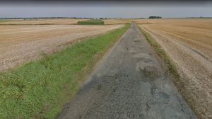 Miniatura zdjęcia:  21