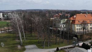 Miniatura zdjęcia: 13