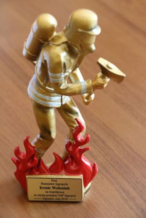 Miniatura zdjęcia: Dzień Strażaka 2