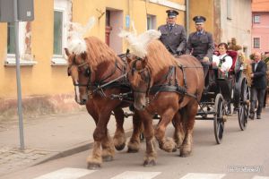 Miniatura zdjęcia:  29