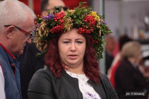 Miniatura zdjęcia:  48