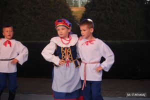 Miniatura zdjęcia:  201