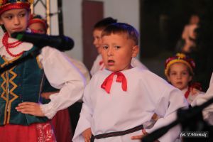 Miniatura zdjęcia:  205