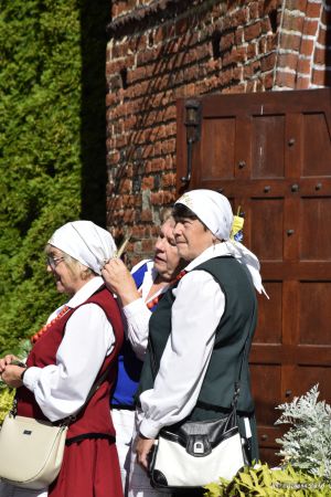 Miniatura zdjęcia:  224