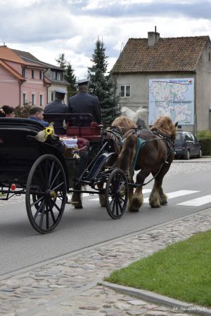 Miniatura zdjęcia:  258