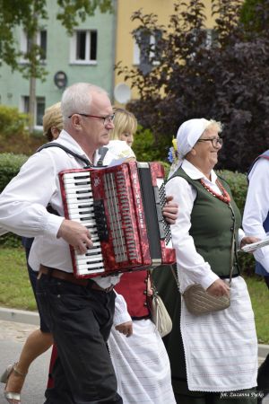 Miniatura zdjęcia:  260