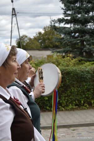 Miniatura zdjęcia:  261