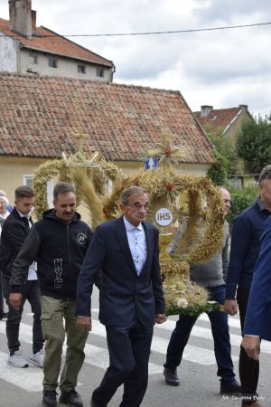 Miniatura zdjęcia:  262
