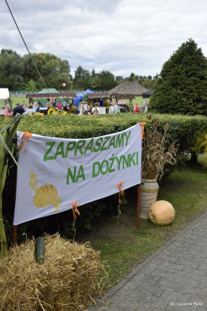Miniatura zdjęcia:  267