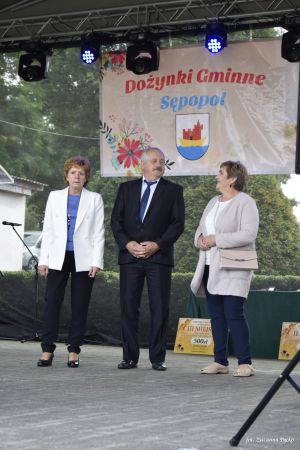 Miniatura zdjęcia:  285