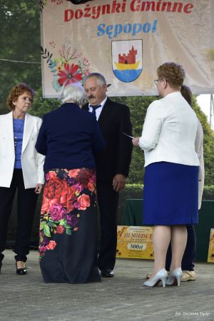 Miniatura zdjęcia:  288