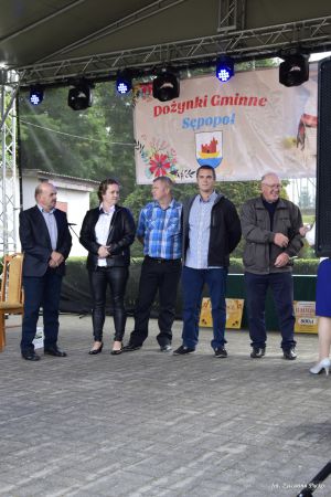 Miniatura zdjęcia:  293