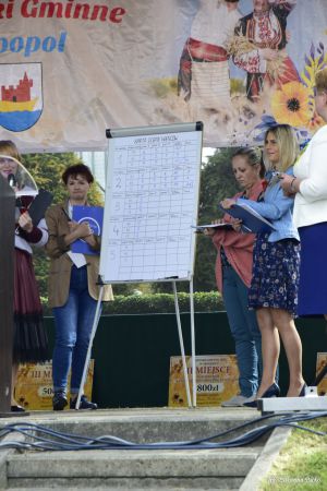 Miniatura zdjęcia:  306