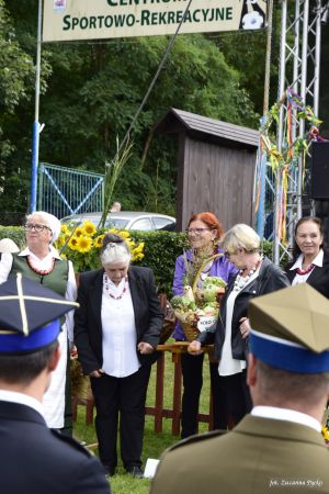 Miniatura zdjęcia:  310