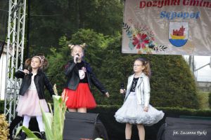 Miniatura zdjęcia:  326