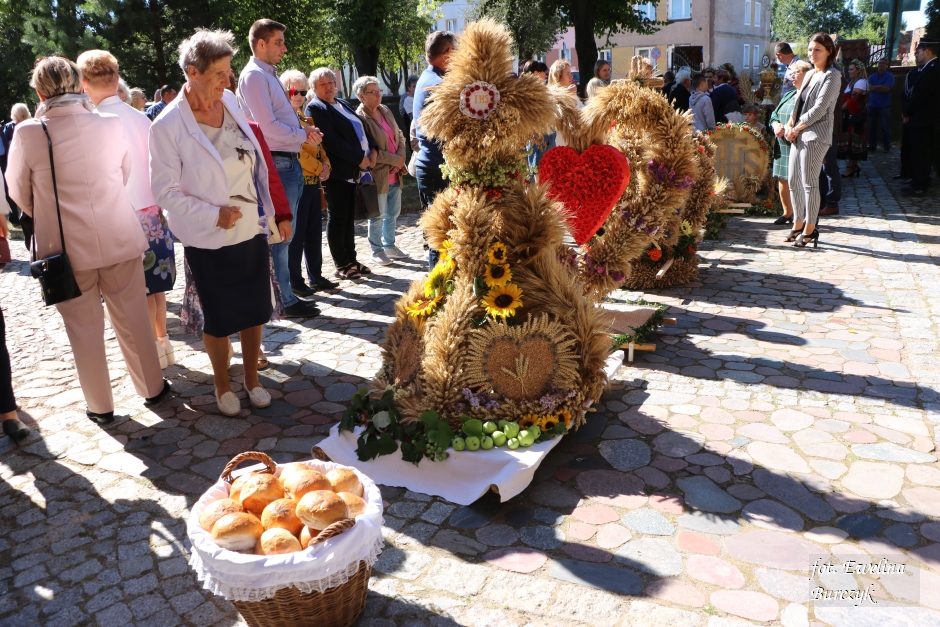 Miniatura zdjęcia:  25