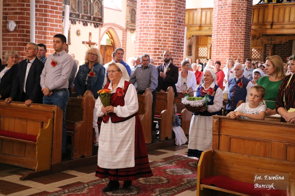 Miniatura zdjęcia:  43