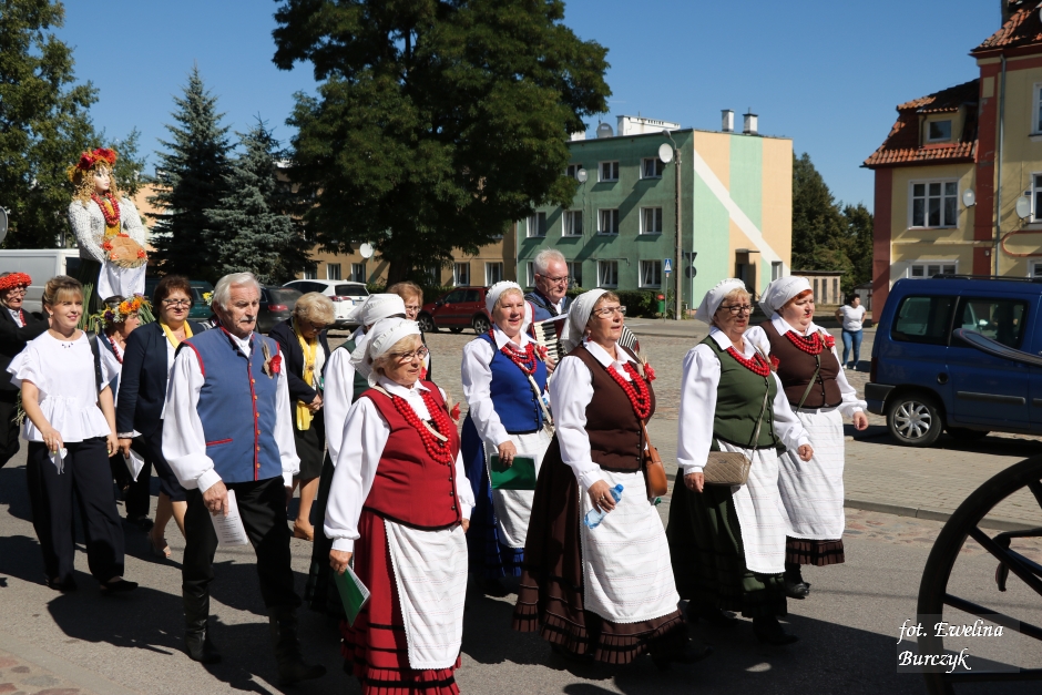 Miniatura zdjęcia:  64