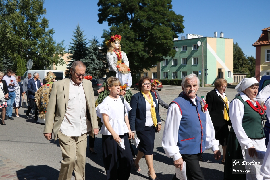 Miniatura zdjęcia:  65