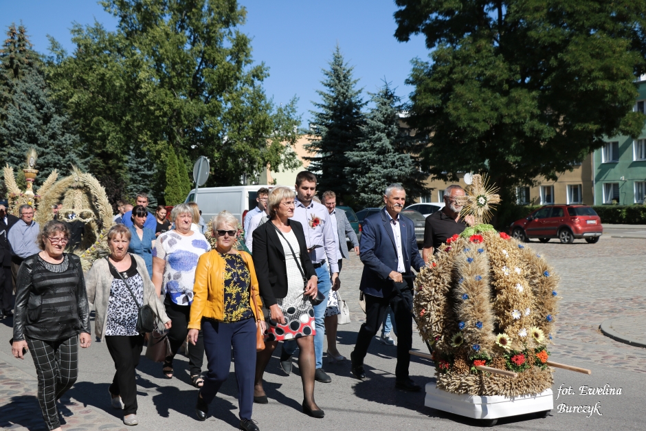 Miniatura zdjęcia:  66