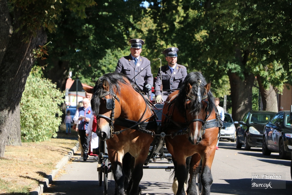 Miniatura zdjęcia:  81