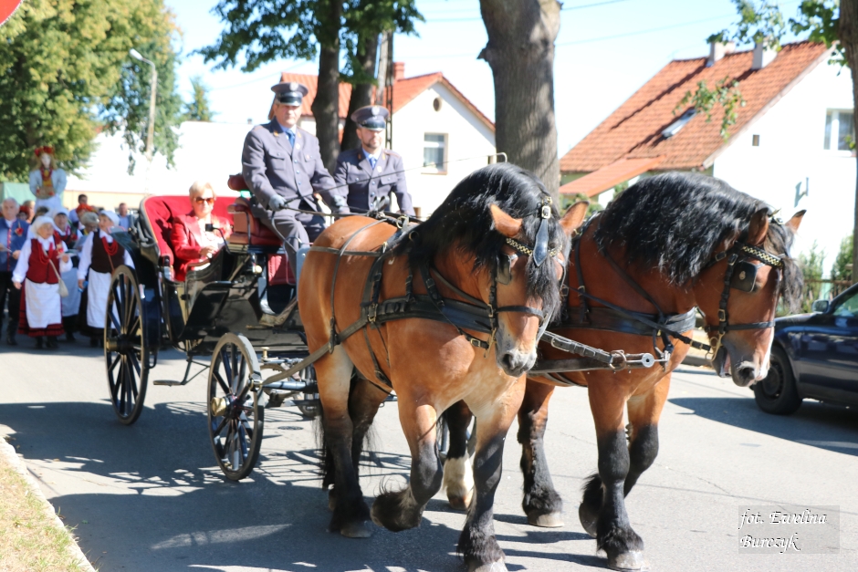 Miniatura zdjęcia:  82