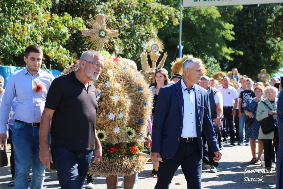 Miniatura zdjęcia:  88