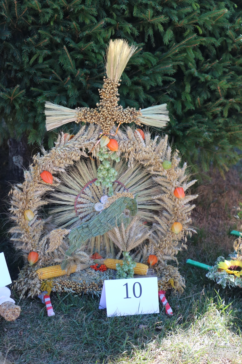 Miniatura zdjęcia:  102