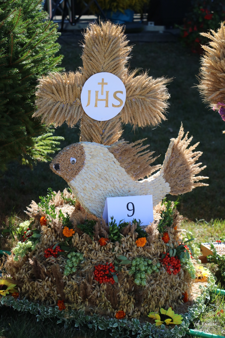 Miniatura zdjęcia:  103