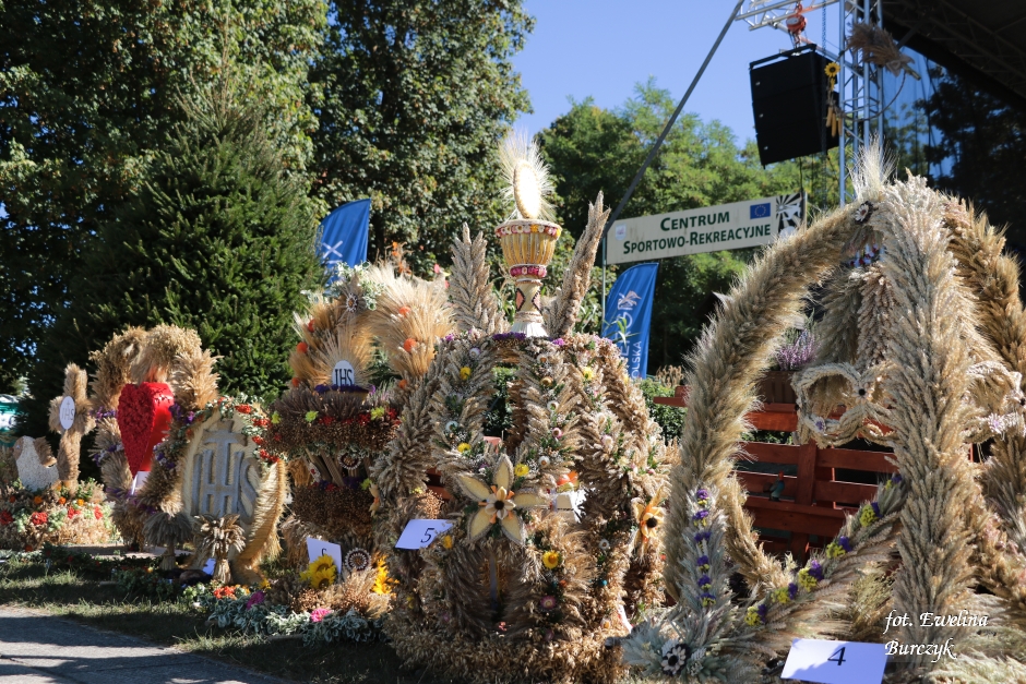 Miniatura zdjęcia:  112