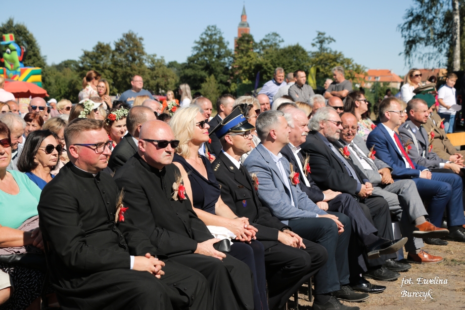 Miniatura zdjęcia:  113