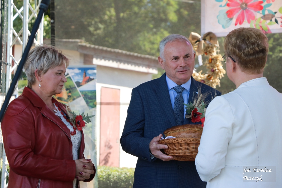 Miniatura zdjęcia:  114