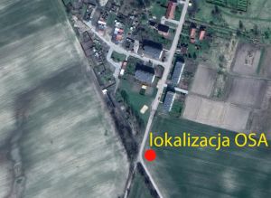Miniatura zdjęcia: Otwarte Strefy Aktywności 6