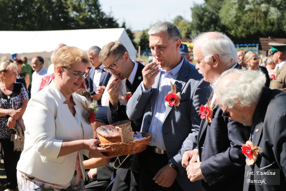 Miniatura zdjęcia:  121