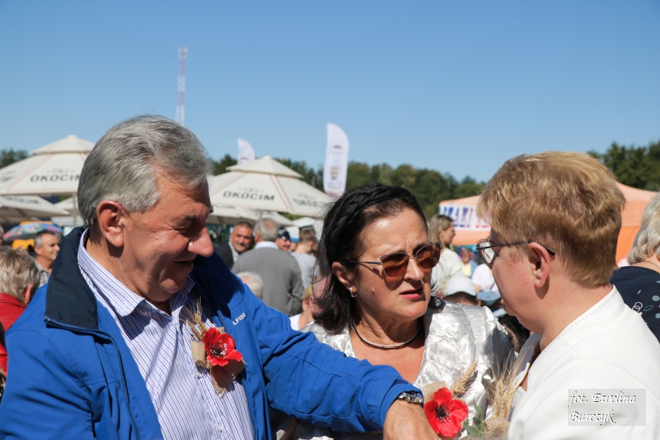 Miniatura zdjęcia:  124