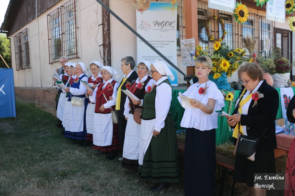 Miniatura zdjęcia:  126