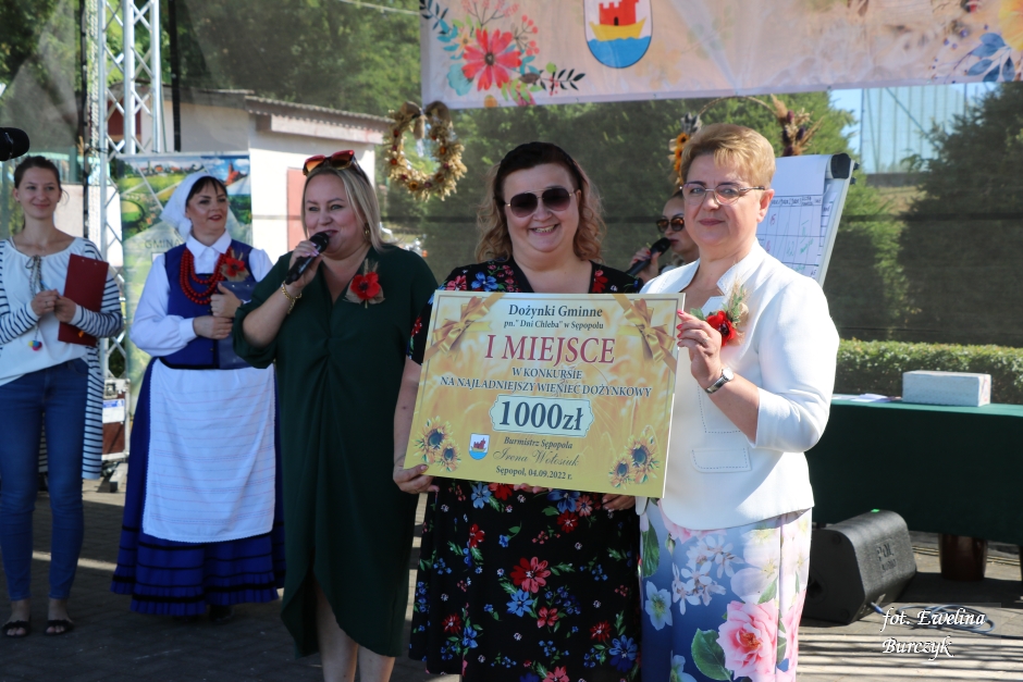Miniatura zdjęcia:  167