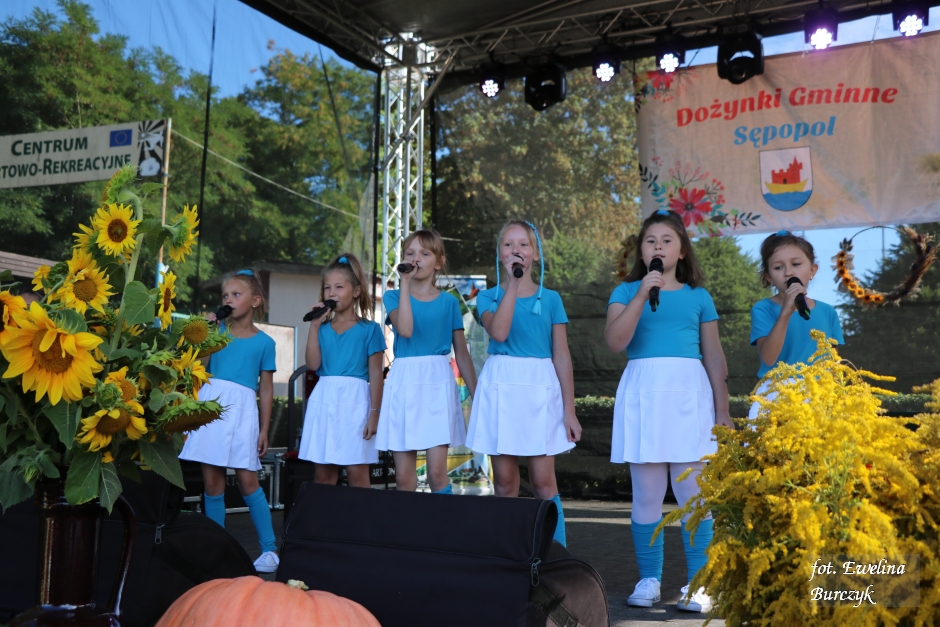 Miniatura zdjęcia:  185