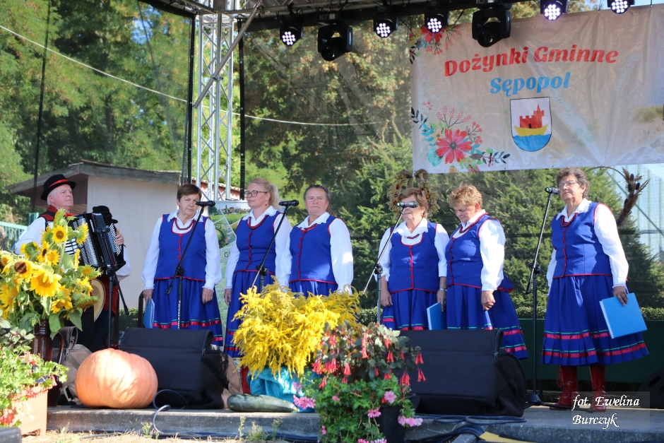 Miniatura zdjęcia:  188