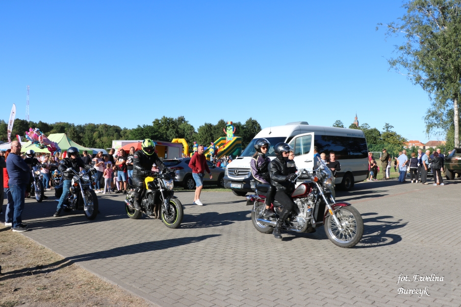 Miniatura zdjęcia:  205