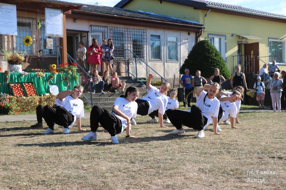 Miniatura zdjęcia:  214
