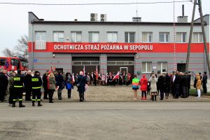 Miniatura zdjęcia: 5