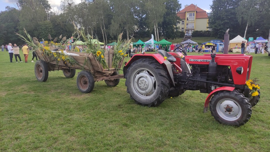 Miniatura zdjęcia: .232