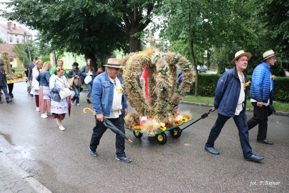 Miniatura zdjęcia:  41